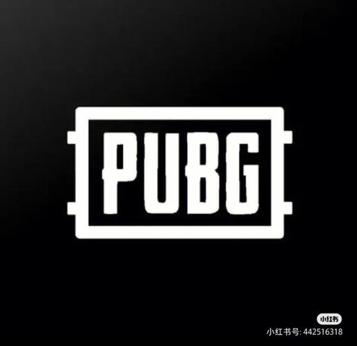 pubg直装公益免费图标