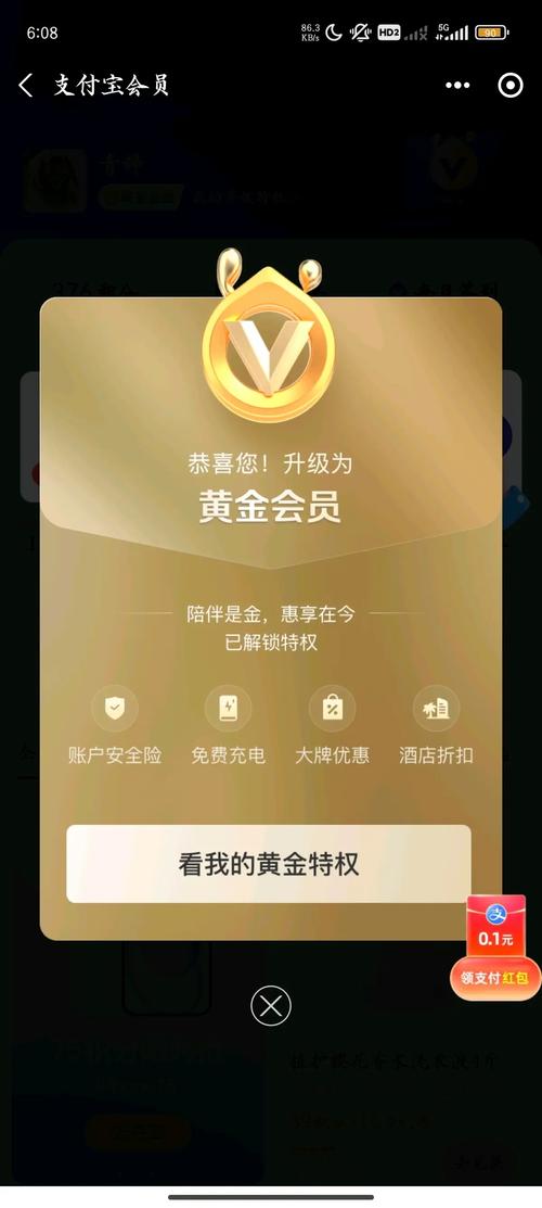 黄金刷刷看极速版永久vip版缩略图