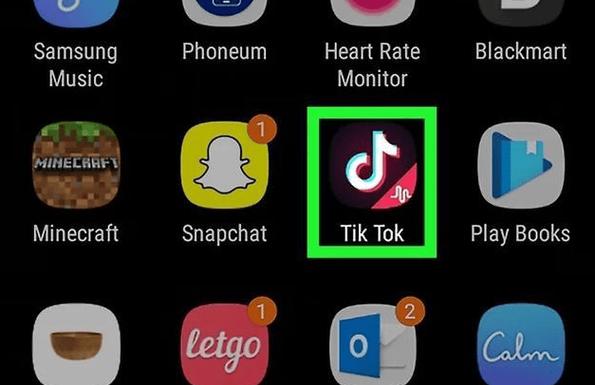 抖音国际版 tiktok色板免费