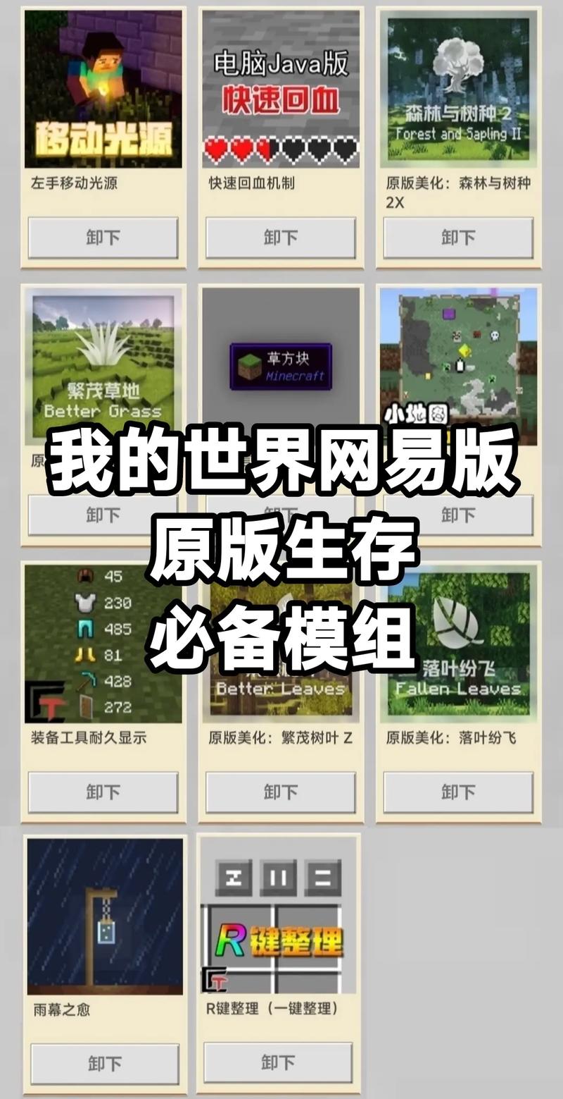 我的世界内置模组
