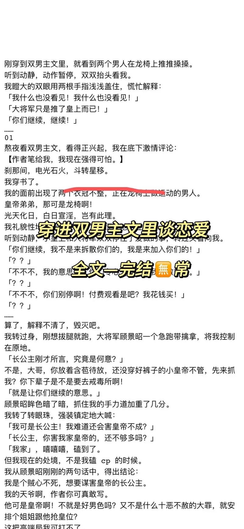 皇上龙椅有木棒的小说节选破解版永久免费缩略图