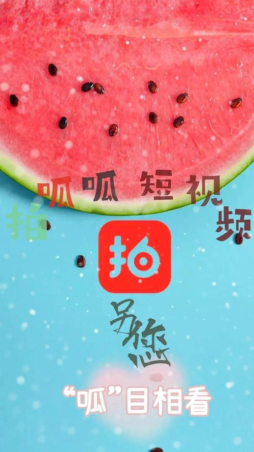 拍呱呱短视频app安装最新版拍呱呱短视频App安装最新消息游戏截图