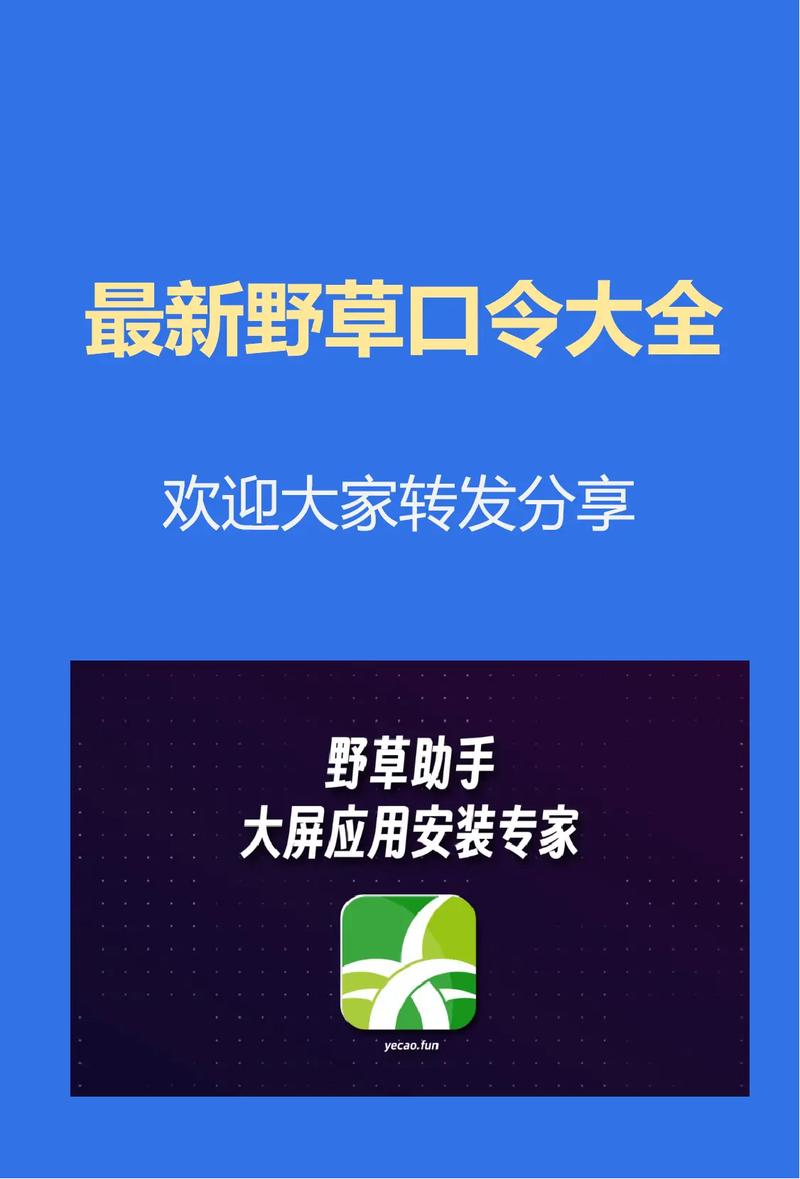 2025野草助手永久口令纯净版