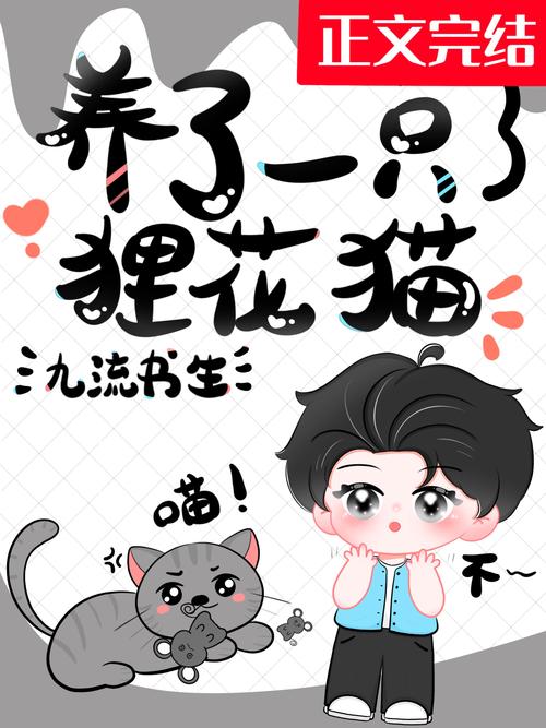 花猫小说最新版免费观看缩略图