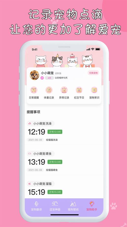 猫咪版本