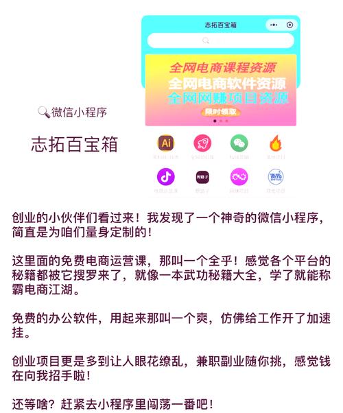 cn01me雏鸟最新款缩略图