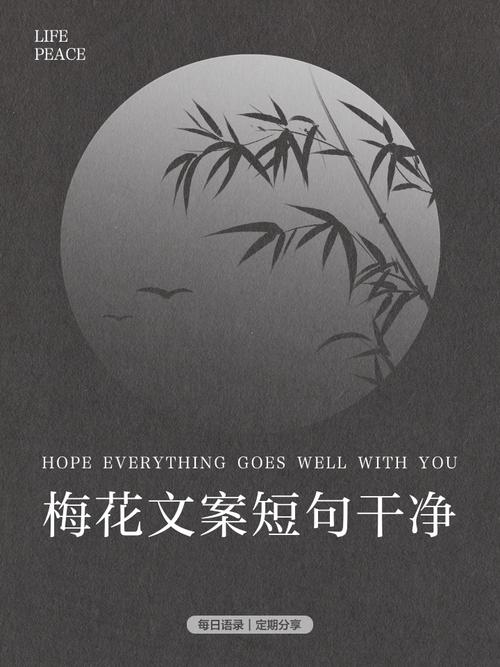 梅花网文案短句干净免费阅读游戏截图