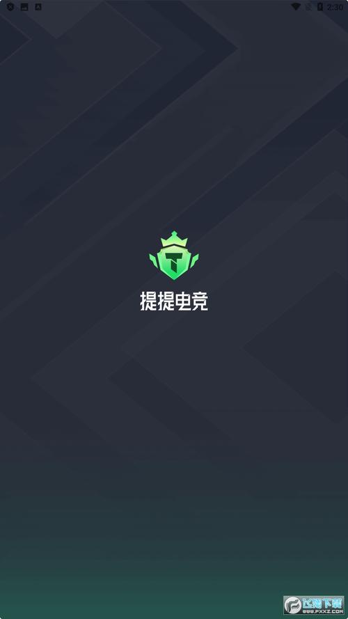 提提电竞无限能量无广告版图标