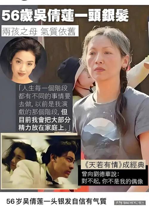 苍苍影视无广告