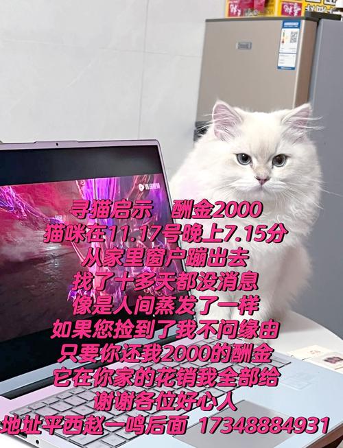 悬赏猫2022最新版解锁全部书源