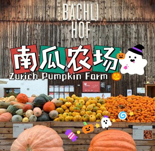 南瓜农场赚钱游戏游戏截图