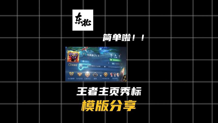王者主页资料修改器去广告