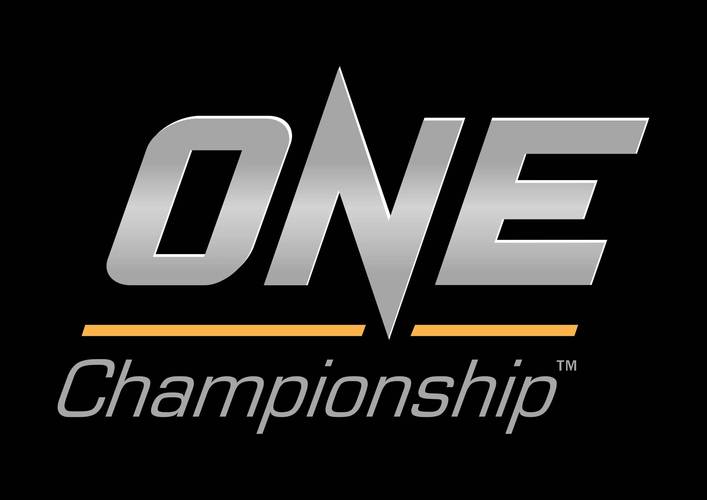 oneyg1游戏截图