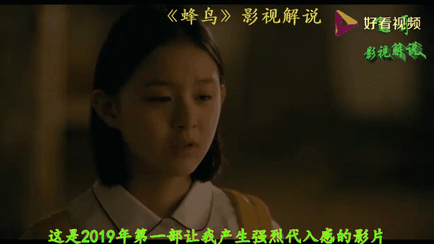 蜂鸟视频在线观看完整版