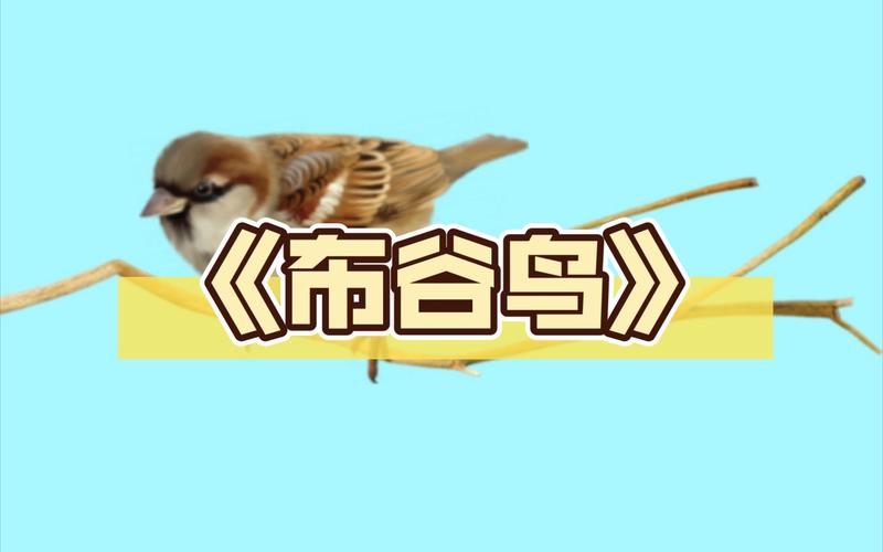 布谷鸟漫画去广告破解版升级游戏截图