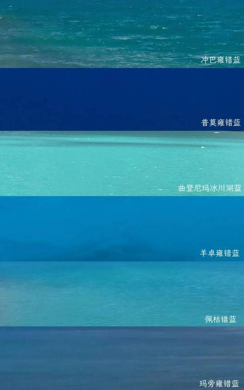 能看女生私密部位的软件蓝色版无广告免费