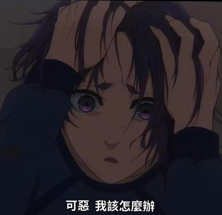 成全动漫视频在线观看完整版黑色老版