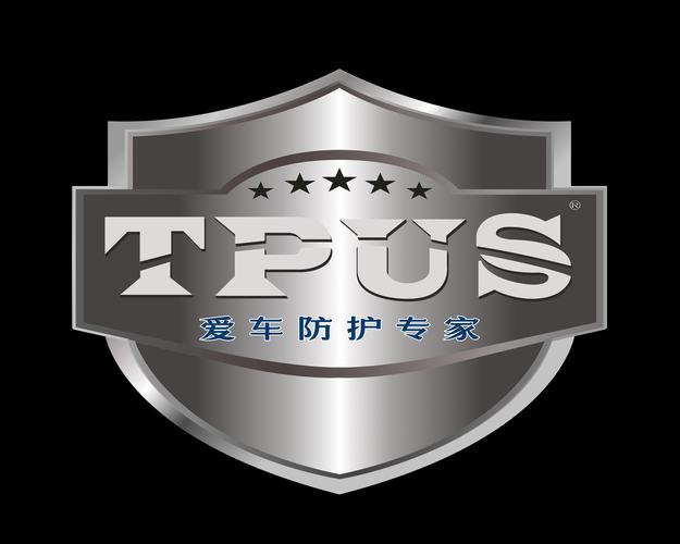 偷车大盗6修改器游戏截图