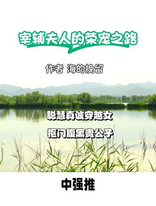 首辅夫人的荣宠之路小说正版