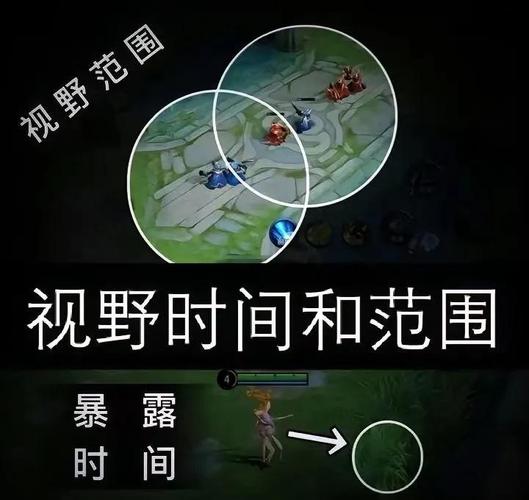 王者荣耀辅助开视野是什么意思中文字幕游戏截图