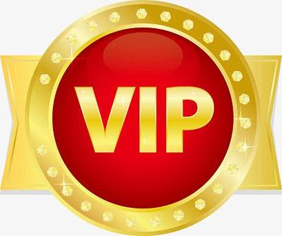 定制v美化包vip图标