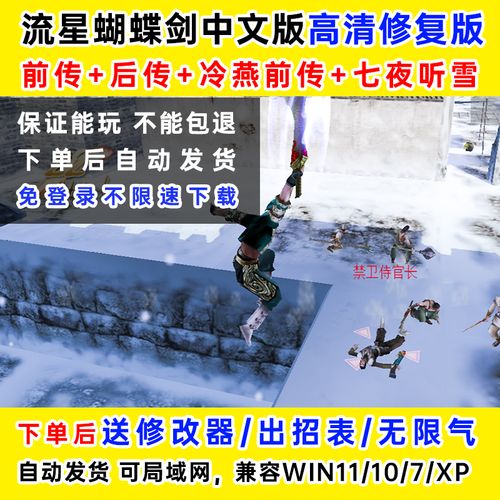 流星蝴蝶剑无限气秘诀
