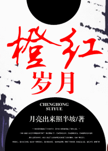 橙红小说2022最新版彩色缩略图