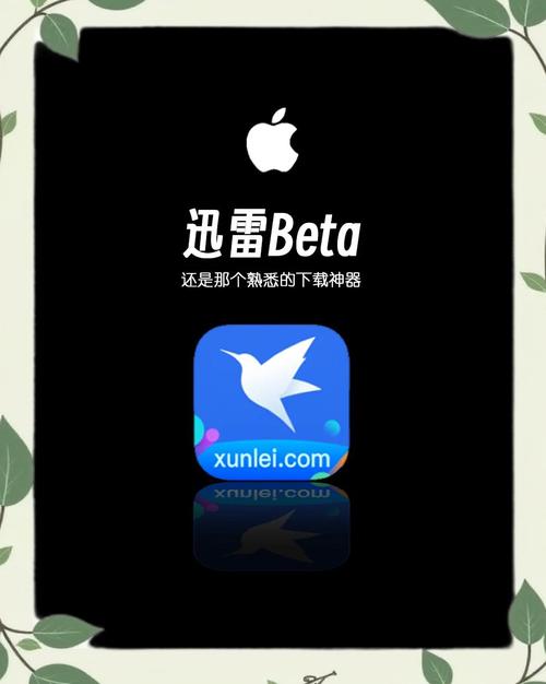 比迅雷好用的神器