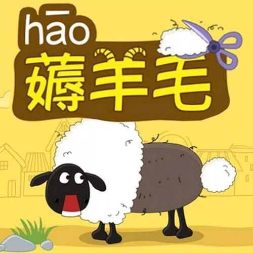 天天羊毛赚钱缩略图
