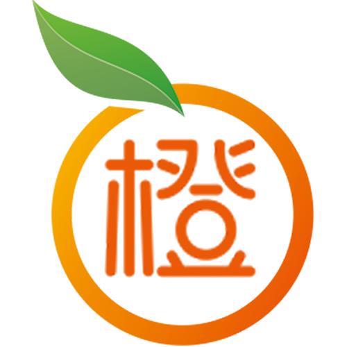 小橙子直装追踪游戏截图
