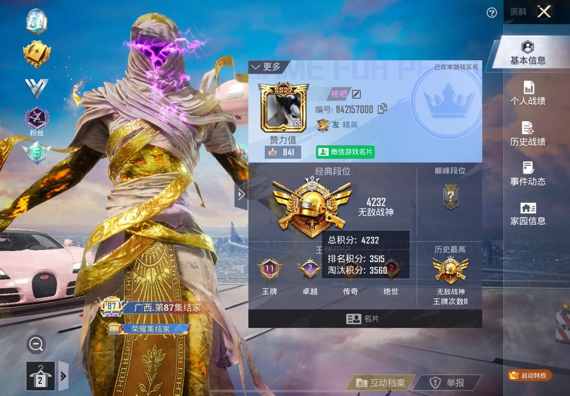 浪漫端口和平精英