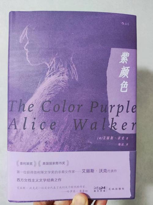 小说txt免费全本紫色版游戏截图