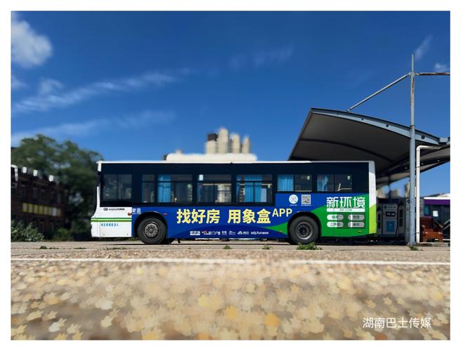 巴士之星无限金币蓝色版无广告免费游戏截图