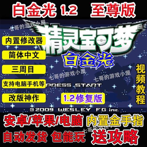 口袋妖怪白金光正版游戏截图