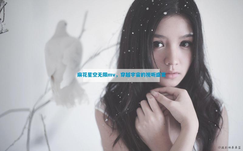 麻花星空mV视频纯净版缩略图