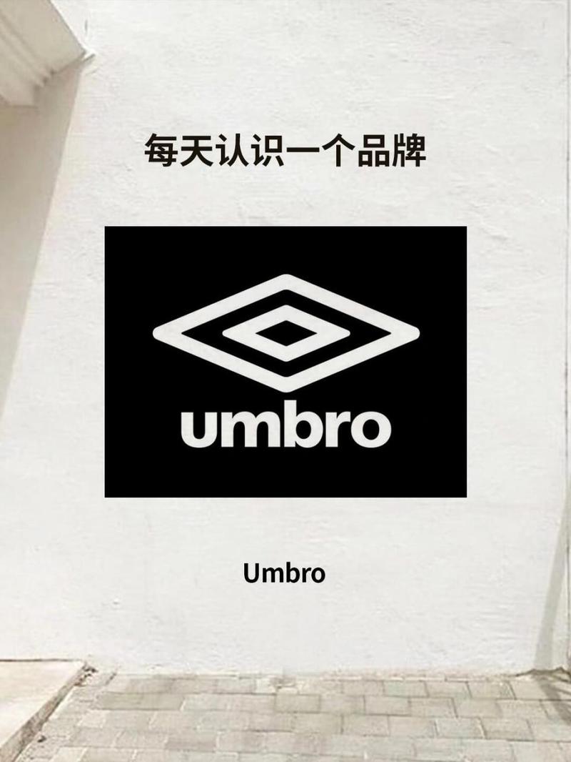 porumb电脑版免广告破解版缩略图