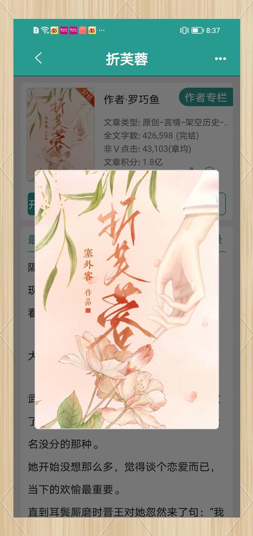 芙蓉小说手机版