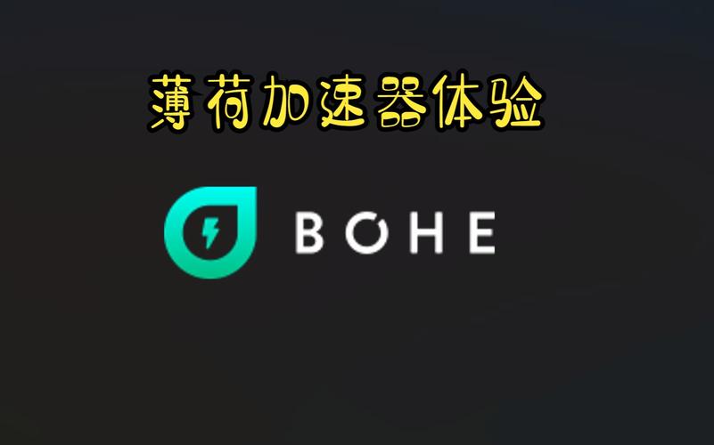 薄荷加速器app最新版本更新内容黑色版免墙版图标
