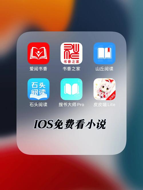 常看小说APP免费国语内置VIP游戏截图