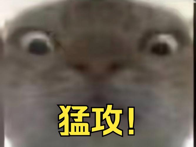 鼠鼠猛攻表情包图标