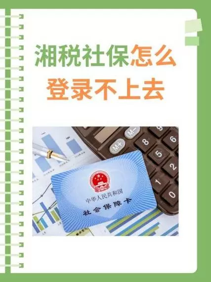 湘税社保查询不到参保信息缩略图