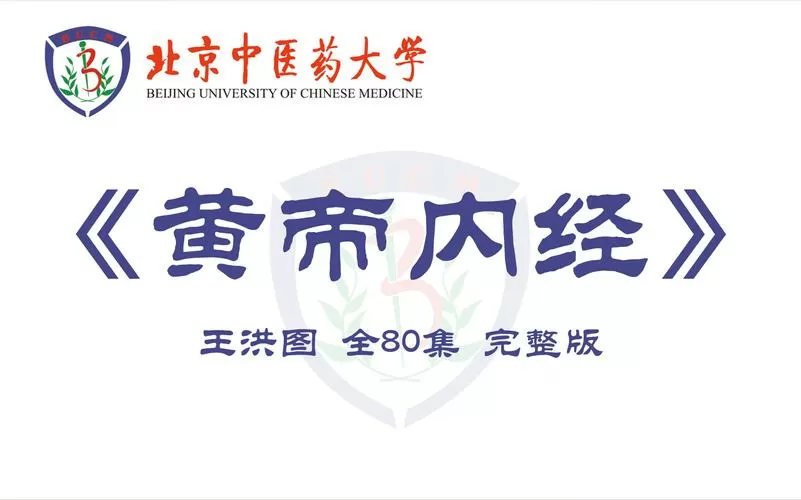 黄帝内经中医宝典缩略图
