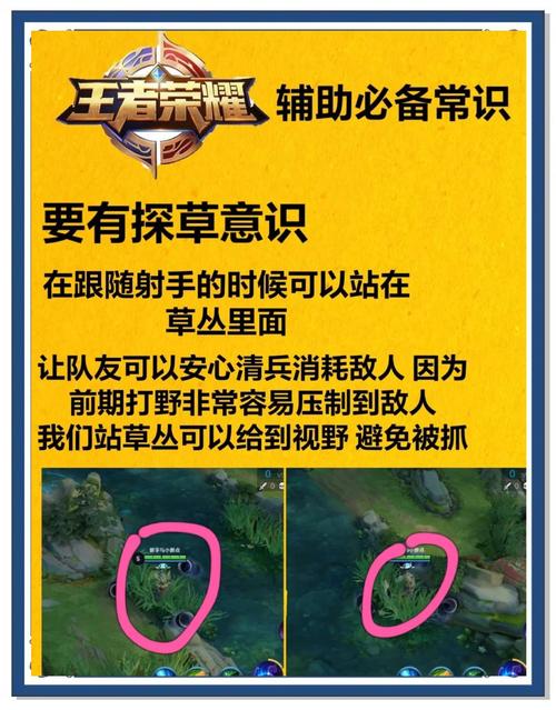 王者辅助怎么单独给队友加血的辅助老版本游戏截图
