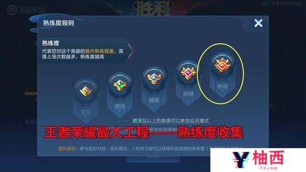 王者荣耀挂机刷熟练度脚本游戏截图
