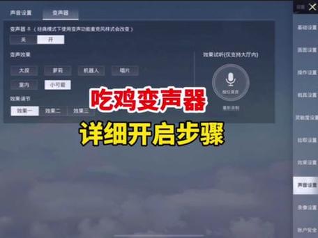 和平精英变声器怎么使用游戏截图