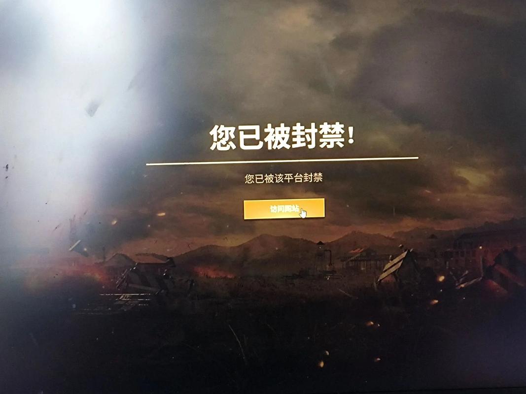 吃鸡开挂打五六把会封十年吗游戏截图