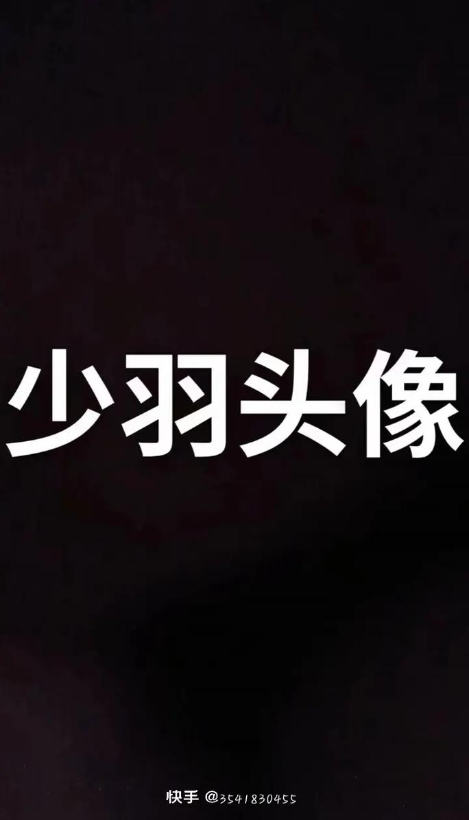 少羽直装v1游戏截图