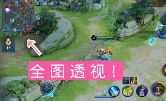 王者一键全图透视(免费)