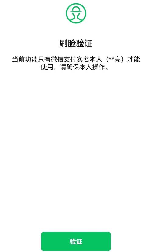 黑号购买微信支付需要哪些条件游戏截图