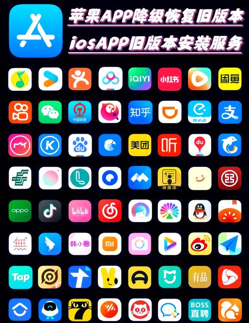 白鲸加速器2023彩色版电脑版官网游戏截图